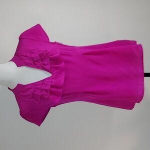 Banana Republic Factory Pink Fushia 100% Silk V-Neck Ruffle Blouse Shirt Size 4